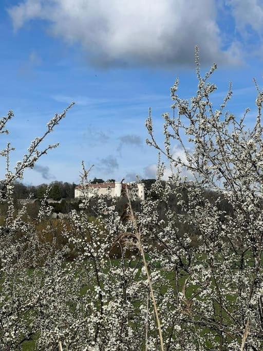 Maison Ray Sur Saone Ray-sur-Saone エクステリア 写真